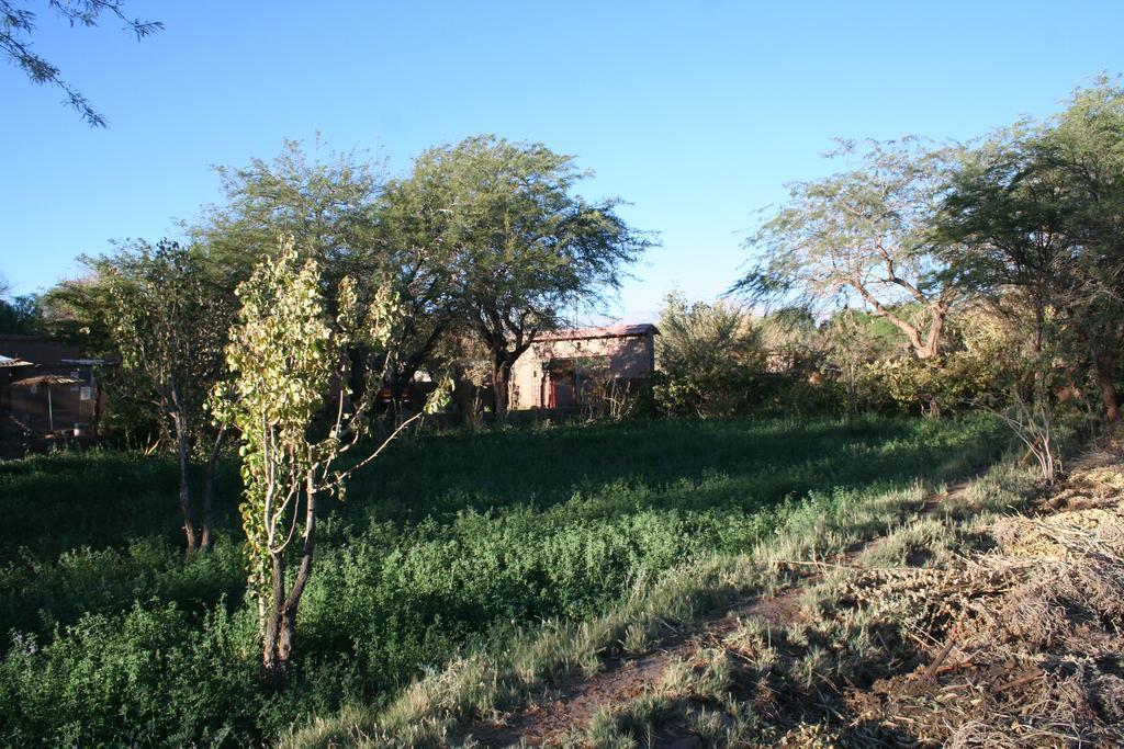 Quinta Adela Bed & Breakfast San Pedro de Atacama Bagian luar foto