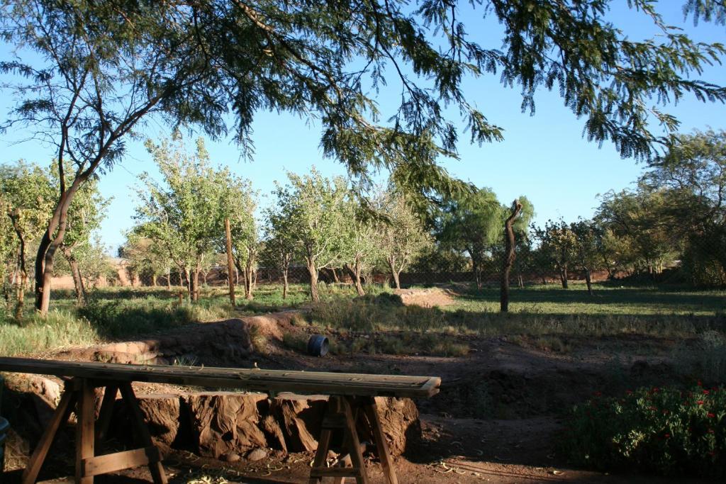 Quinta Adela Bed & Breakfast San Pedro de Atacama Bagian luar foto