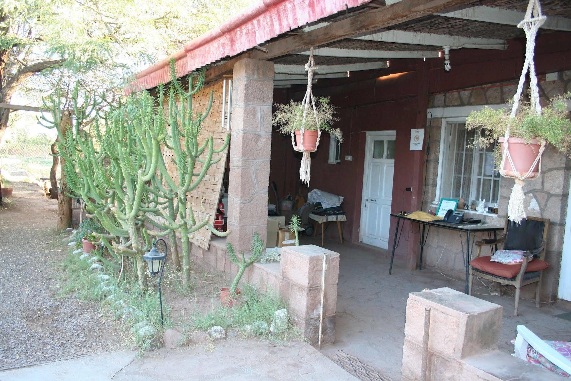 Quinta Adela Bed & Breakfast San Pedro de Atacama Bagian luar foto